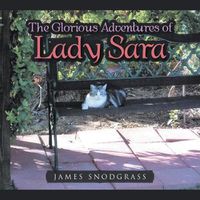 Cover image for The Glorious Adventures of Lady Sara