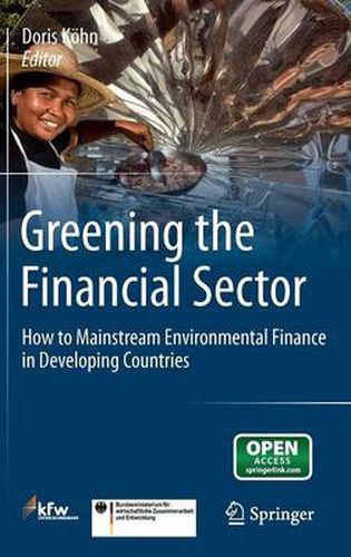 Cover image for Greening the Financial Sector: How to Mainstream Environmental Finance in Developing Countries