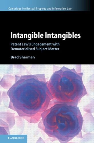 Cover image for Intangible Intangibles