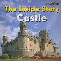 Cover image for Castle