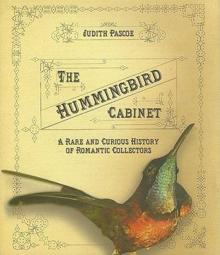 Cover image for The Hummingbird Cabinet: A Rare and Curious History of Romantic Collectors