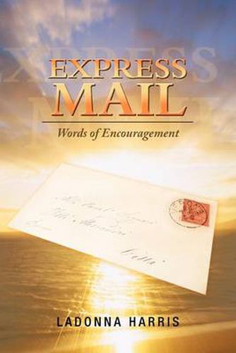 Cover image for Express Mail