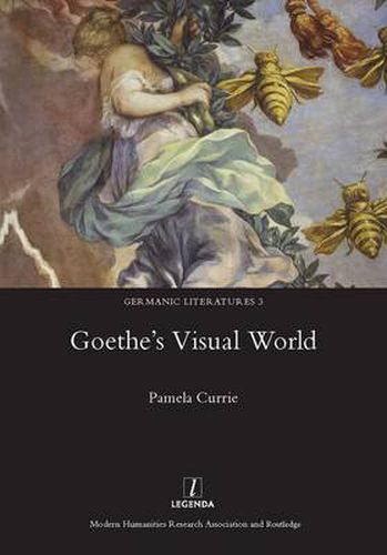 Cover image for Goethe's Visual World