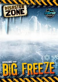 Cover image for Braving the Big Freeze