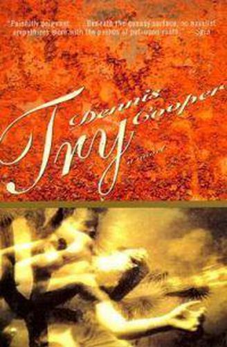 Cover image for Try