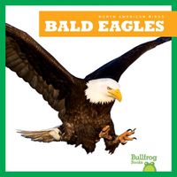 Cover image for Bald Eagles