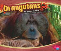 Cover image for Orangutans (Asian Animals)