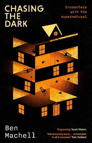 Cover image for Chasing the Dark