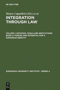 Cover image for Forces and Potential for a European Identity