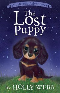 Cover image for The Lost Puppy