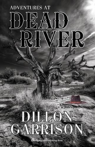 Cover image for Adventures at Dead River