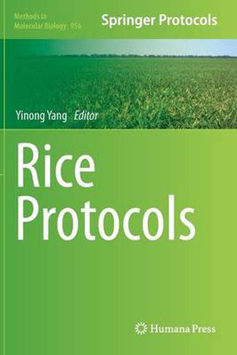Cover image for Rice Protocols