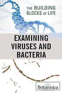 Cover image for Examining Viruses and Bacteria