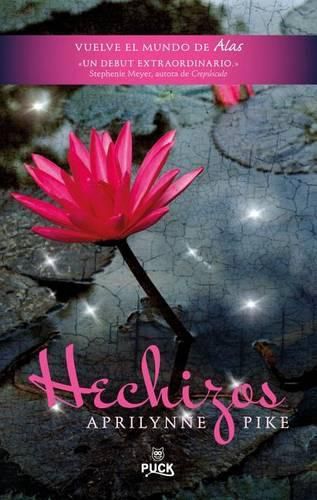 Cover image for Hechizos