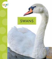 Cover image for Swans