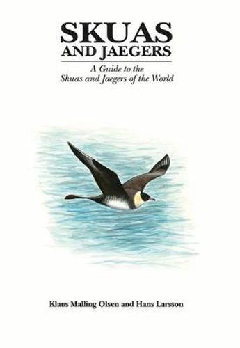 Cover image for Skuas and Jaegers