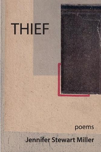 Cover image for Thief: poems
