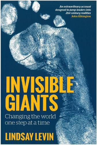 Cover image for Invisible Giants: Changing the World One Step at a Time