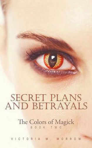 Cover image for Secret Plans and Betrayals