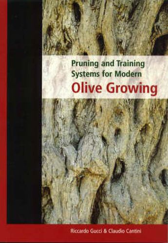 Cover image for Pruning and Training Systems for Modern Olive Growing