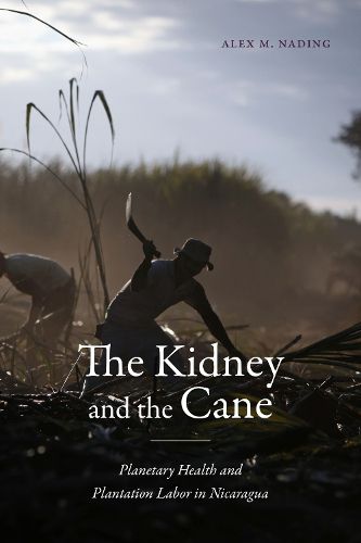 Cover image for The Kidney and the Cane