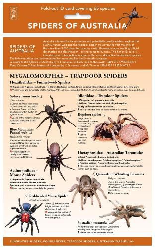 Spiders of Australia