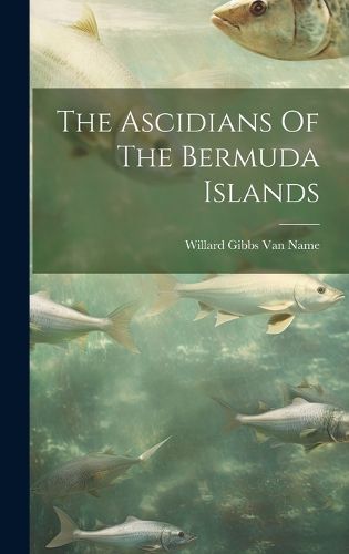 Cover image for The Ascidians Of The Bermuda Islands