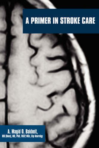 Cover image for A Primer in Stroke Care