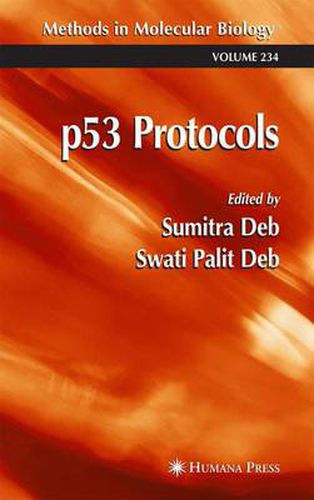 Cover image for p53 Protocols