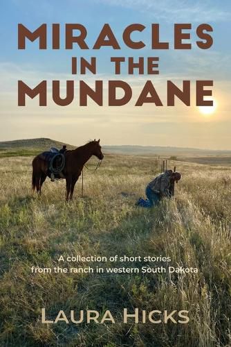 Cover image for Miracles in the Mundane