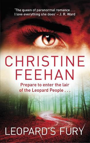 Cover image for Leopard's Fury