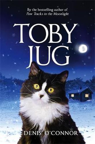 Cover image for Toby Jug