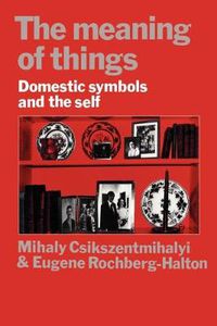 Cover image for The Meaning of Things: Domestic Symbols and the Self