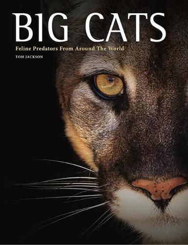 Cover image for Big Cats