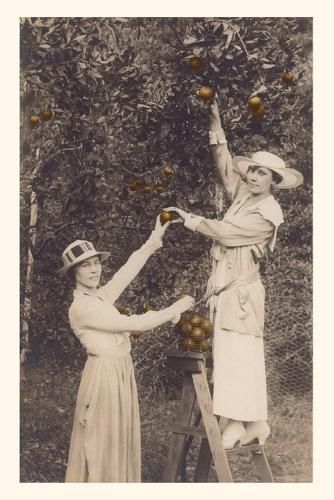 Cover image for Vintage Journal Women Picking Oranges