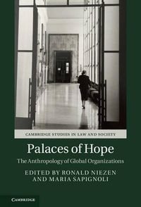 Cover image for Palaces of Hope: The Anthropology of Global Organizations