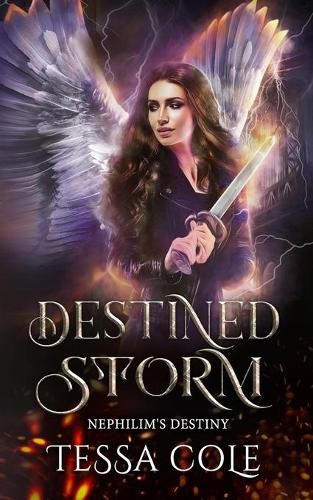 Cover image for Destined Storm