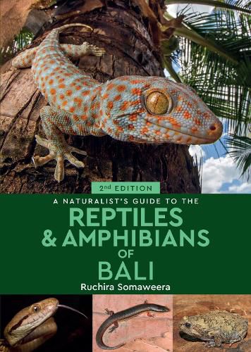 Cover image for A Naturalist's Guide to the Reptiles & Amphibians of Bali (2nd edition)