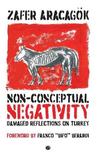 Cover image for Non-Conceptual Negativity: Damaged Reflections on Turkey