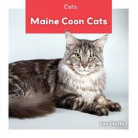 Cover image for Maine Coon Cats