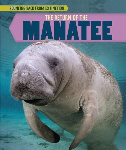 Cover image for The Return of the Manatee