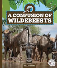 Cover image for A Confusion of Wildebeests