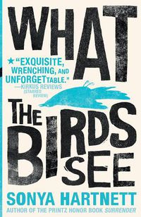 Cover image for What the Birds See