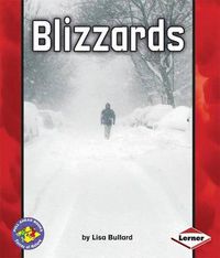 Cover image for Blizzards