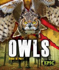 Cover image for Owls