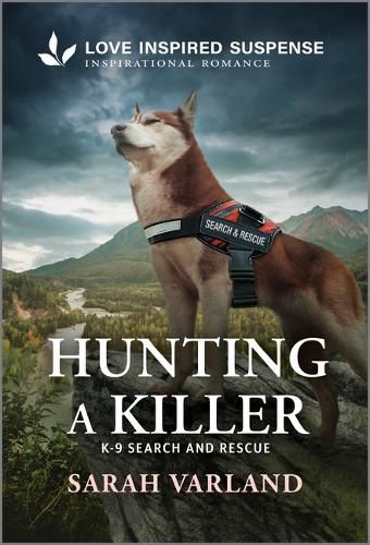 Cover image for Hunting a Killer