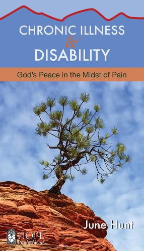 Cover image for Chronic Illness and Disability: God's Peace in the Midst of Pain