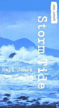 Cover image for Storm Tide