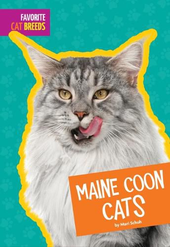 Cover image for Maine Coon Cats