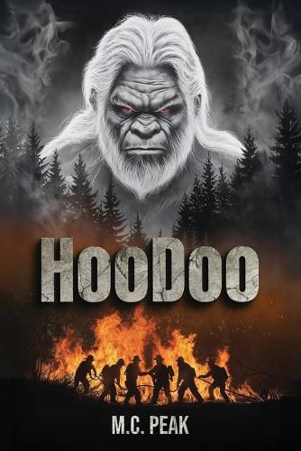 Cover image for HooDoo